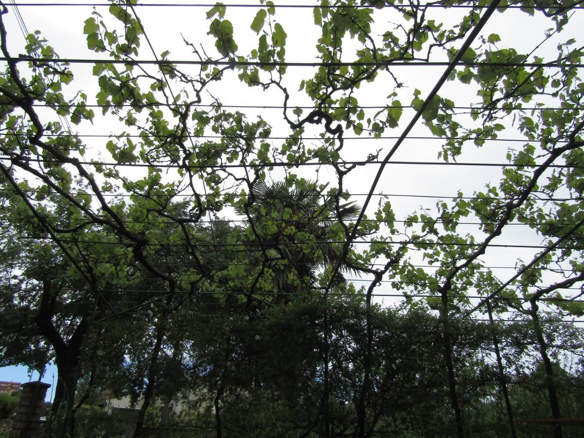 Green Gardens 2 โรวีน ภายนอก รูปภาพ